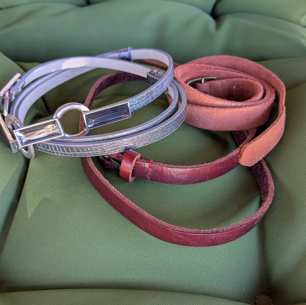 Women's Belts - Silver and Brown